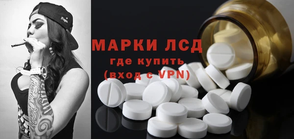 ГАЛЛЮЦИНОГЕННЫЕ ГРИБЫ Аркадак