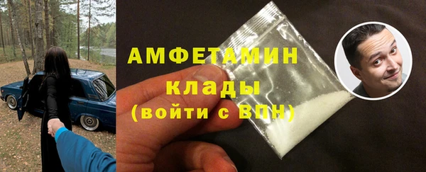 ГАЛЛЮЦИНОГЕННЫЕ ГРИБЫ Аркадак